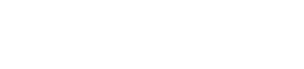 White TrendzKraft logo on transparent background